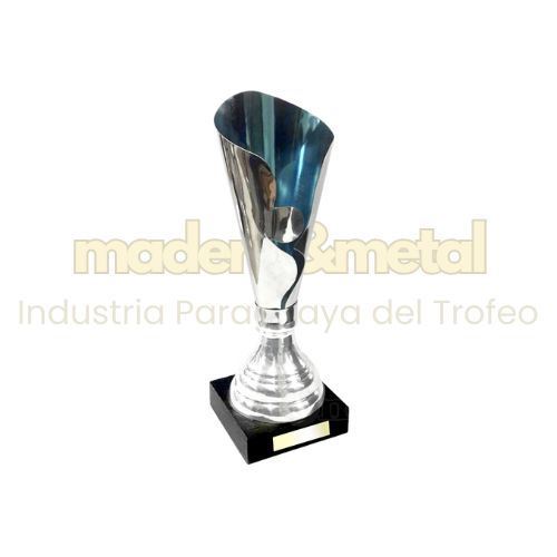 Imagen de Trofeo con cuerpo compuesto de lamina de acero inox. - M1.330